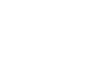 Blekz Wear