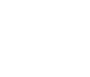 Elegance Illuminated