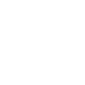 Lupa