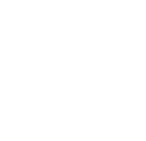 Mall of the South